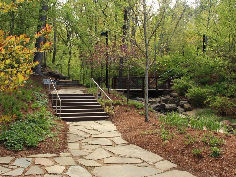 Sendero en el bosque con una inclinación pronunciada con escalones