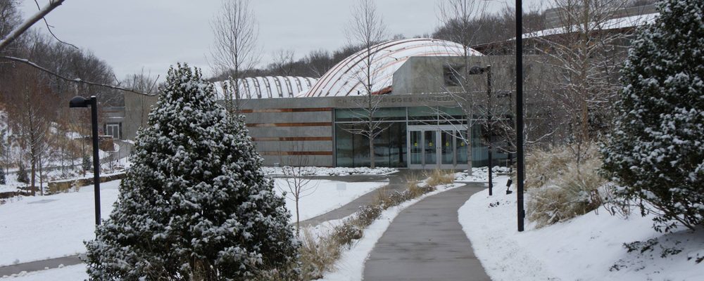Escena de nieve de un camino bordeado de árboles que lleva a un edificio