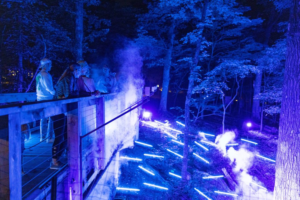 people stand on a bridge at night looking out onto a ravine lit with bright blue and purple lights