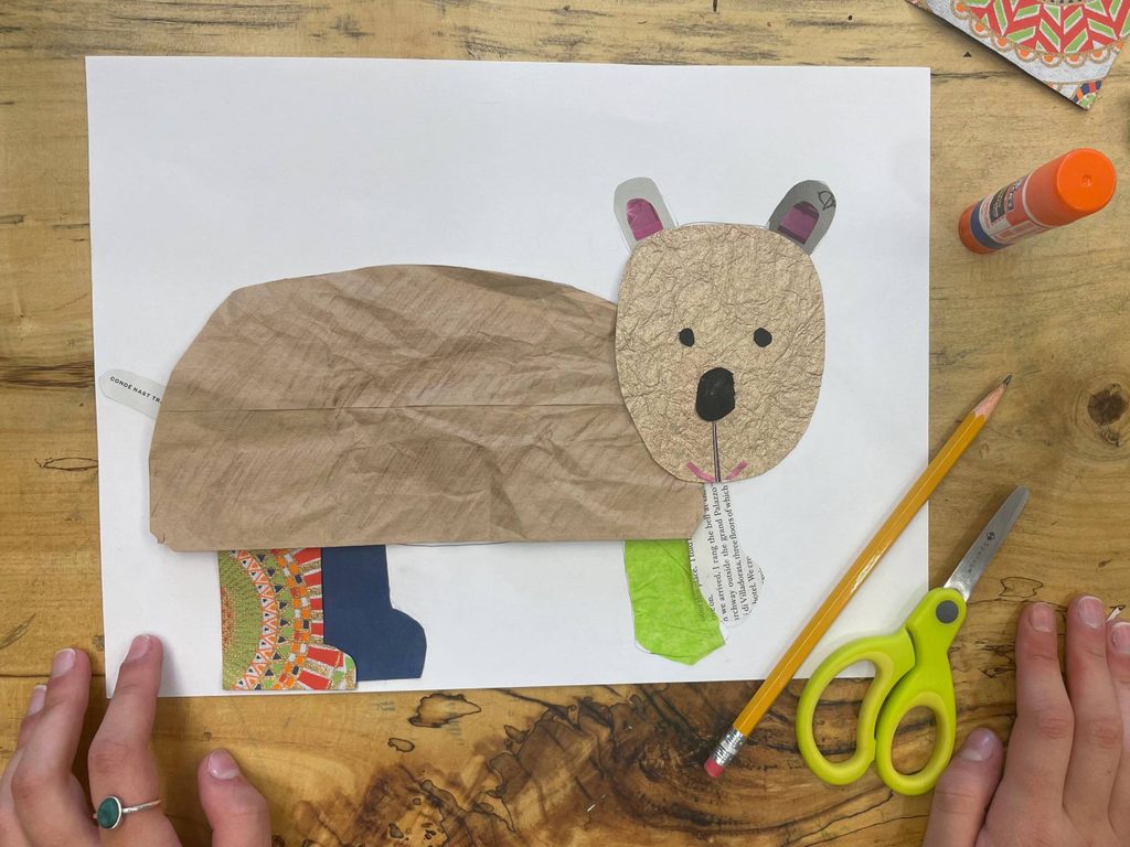 collage animal activity