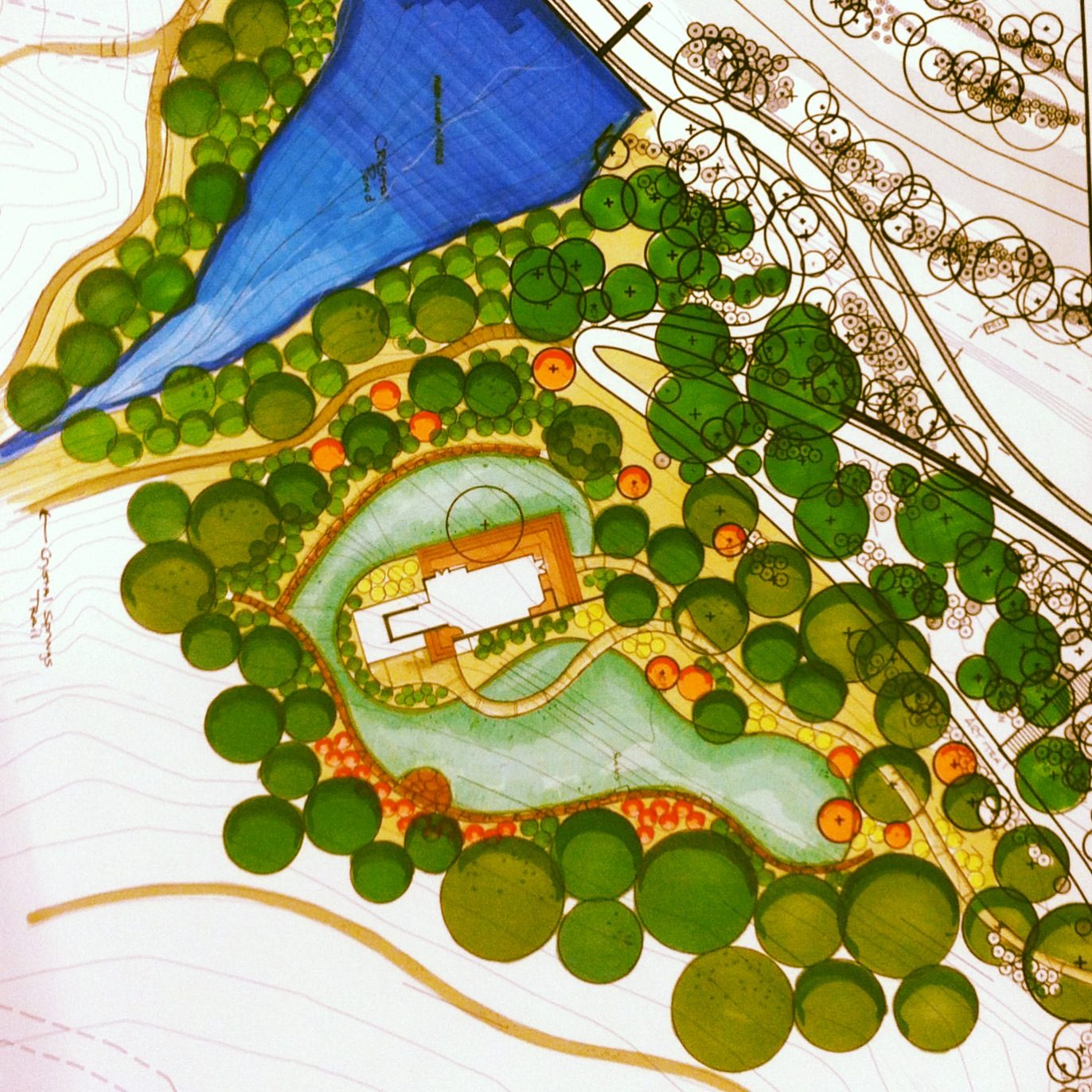 Landscape architectural plan with a pond, pathways, trees, and outlined building.