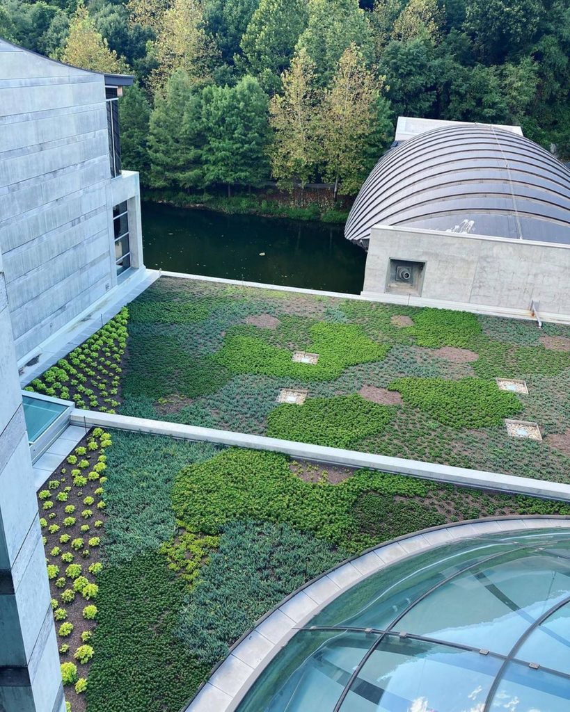image of a green roof at crystal bridges surrounding the garrison lobby dome. the green roof features 20,000 plants