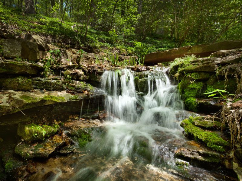 Small waterfall over mossy rocks in a lush forest with surrounding greenery.