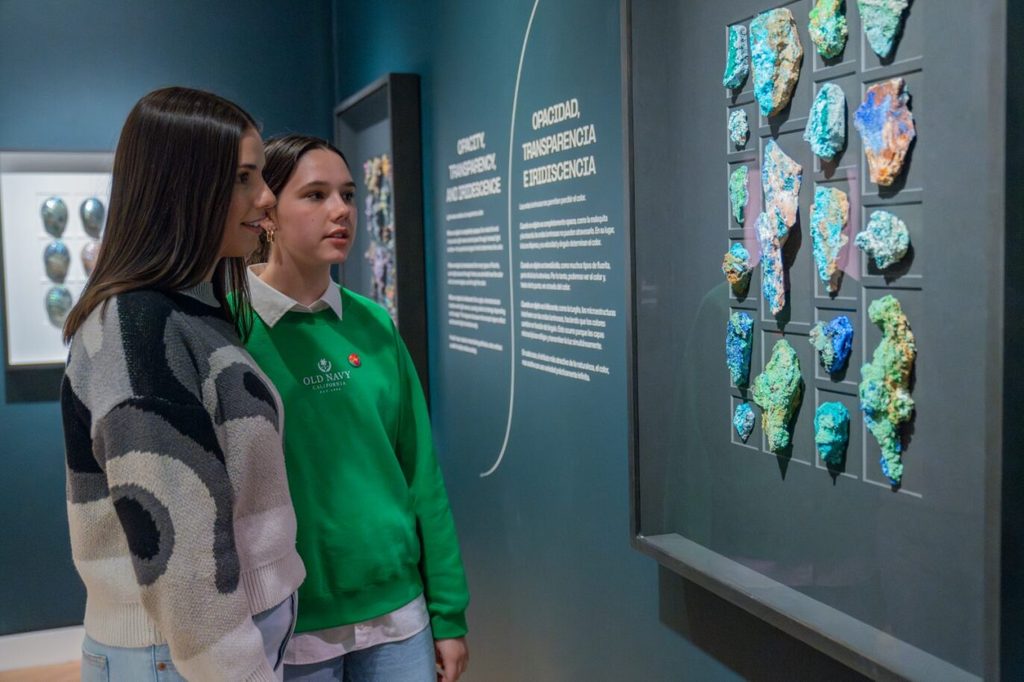 Two guests viewing natural artifacts in the Exquisite Creatures exhibition.