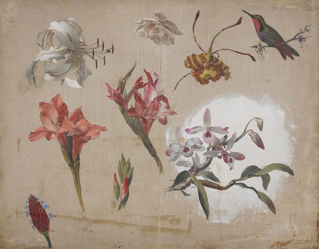 Botanical illustration of orchids, lilies, gladiolus, and hummingbird on beige background.