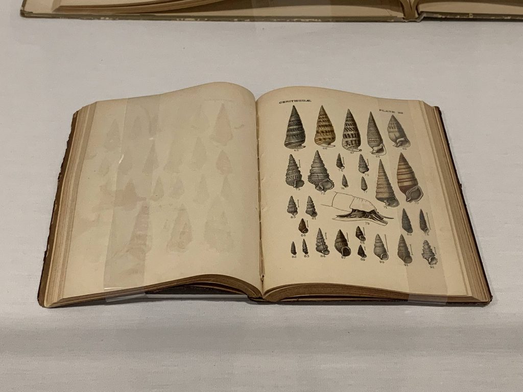 image of the book Manual of Conchology; structural and systematic with illustrations of the species by George W. Tryon, Jr.; found in the Crystal Bridges Library collection