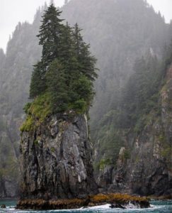 Rocky island topped with green trees, surrounded by misty ocean and forested cliffs.