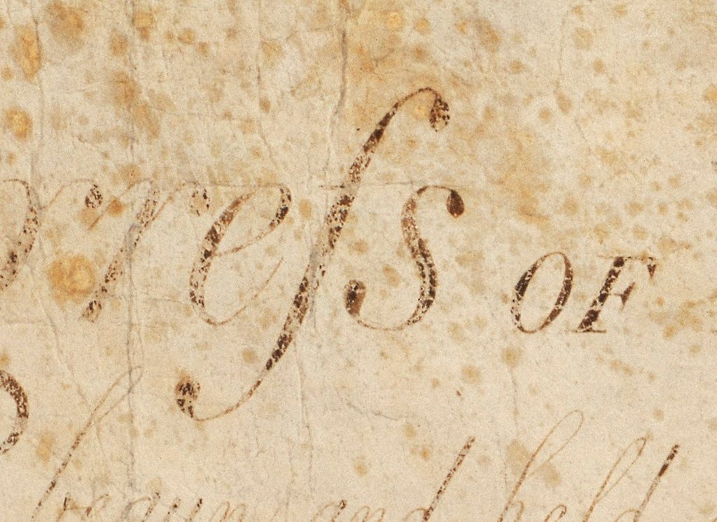 Part of the first line the US Bill of Rights showing a long s.