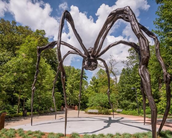 image of maman sculpture on the museum grounds