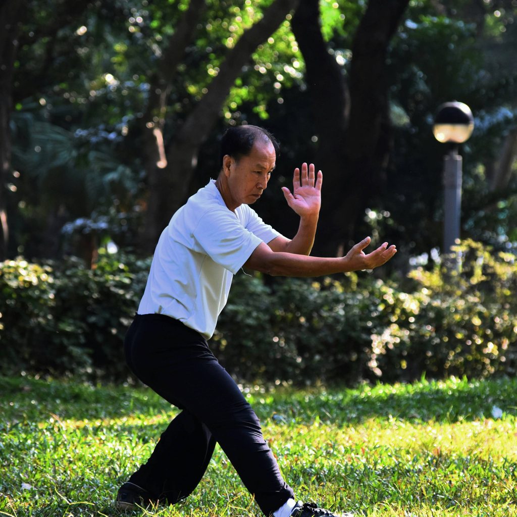 Man in white shirt and black pants practicing martial arts on grass in a park.