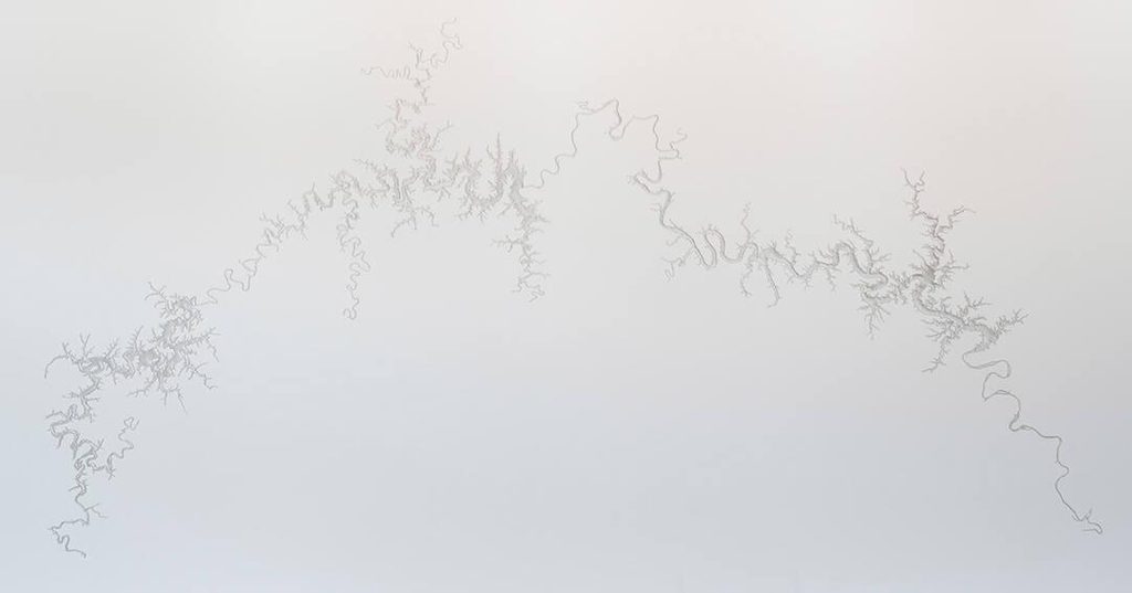 Silver lines representing the course of a river system