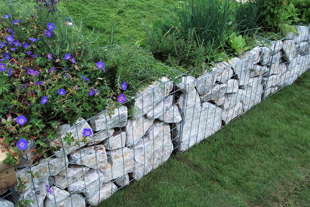a gabion wall fencing white rocks in to support an elevated garden