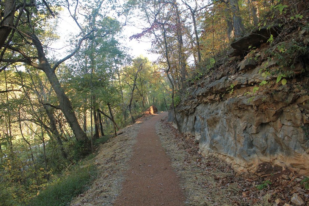 Dirt path through trees and rocks, daylight, fallen leaves suggest autumn.