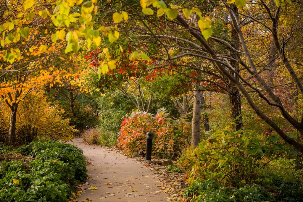 trail at crystal bridges in autumn