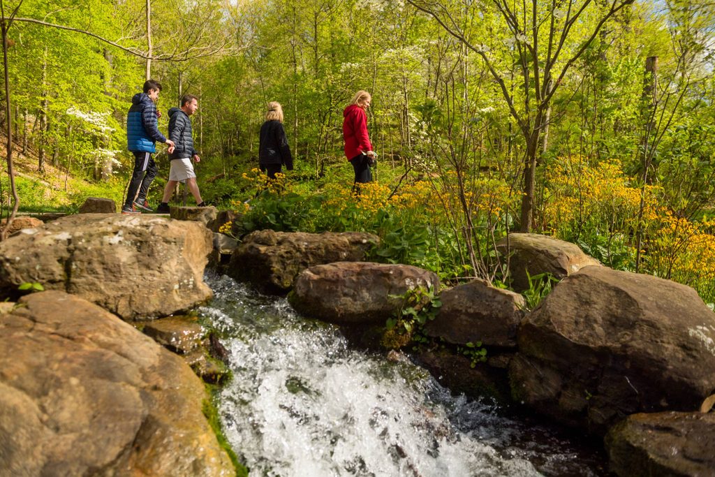 Four people walk along a path beside a small cascading stream with rocks and yellow flowers.