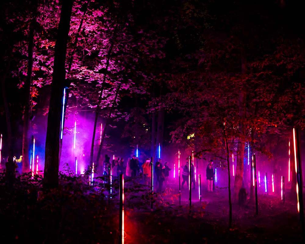 Forest scene with colorful lights highlighting trees and silhouettes of people in purple, red, blue.