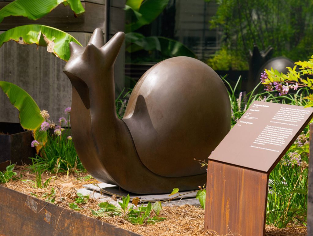 Bronze snail sculpture outdoors with plants and information plaque on rust-colored stand.