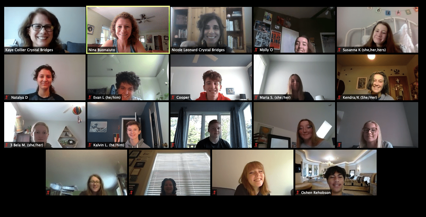 Virtual meeting with 15 participants in individual video frames, names and pronouns visible.